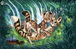 aiza_(flashw) blush collar cuddling duo felid feline female female/female feral feral_on_feral flashw flora genitals green_eyes hazel_(fufila321) jungle licking mammal potions-bag pussy serval tongue tongue_out waterfall yuri