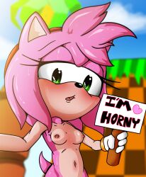 1girls 2022 amy_rose exposed_torso female female_focus female_only footwear green_eyes green_hill_zone half-closed_eyes handwear hd hi_res high_resolution highres horny jumparoundjumpjump looking_at_viewer mostly_nude nipples outdoors outside pink_fur pink_hair pink_nipples sign sign_post sonic_(series) sonic_the_hedgehog_(series)