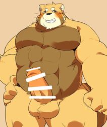 0119_muu 2021 ailurid anthro balls barazoku belly big_belly blush brown_body censored erection genitals hi_res humanoid_genitalia humanoid_hands humanoid_penis kemono male mammal muscular muscular_male penis red_panda simple_background solo