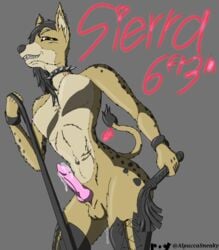 alpaccasneaky anthro balls bodily_fluids bondage bondage_gear breasts canid canine collar dominant dominant_gynomorph dominant_intersex dripping futanari genital_fluids genitals gynomorph hyaenid intersex knot leash leash_pull mammal nude penis precum precum_drip pussy_juice sierra solo whip