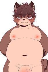 2021 2:3 absurd_res anthro belly blush brown_body canid canine chobab_789 genitals hi_res kemono male mammal moobs navel nipples overweight overweight_male penis raccoon_dog simple_background solo tanuki white_background