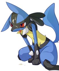 lucario nintendo pokemon pokemon_(species) shin_(artist) tagme