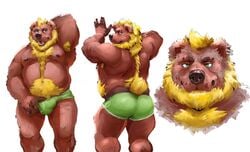 2021 absurd_res anthro armpit_hair ass belly bernbirk body_hair brown_body brown_fur bulge clothing fur green_clothing green_underwear hi_res male mammal model_sheet moobs nipples overweight overweight_male solo solo_male underwear ursid yellow_body yellow_fur