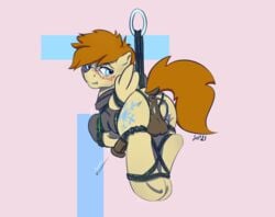 2021 animal_genitalia animal_penis anus ass balls bondage bondage bound cutie_mark drafthoof equid equine equine_penis feral genitals hangning hasbro hi_res male mammal my_little_pony pegasus penis solo wings