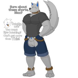 1:1 alpha_channel animal_genitalia anthro balls belt blush canid canine canis casual_exposure chaps clothing collar dialogue duo english_text fur genitals hair male mammal max_(character) muscular notkastar nude pecs penis sheath signature smile text wolf zatch_(character)