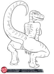 1girls alternate_species anthro anus ass biped breasts claws crouching digital_media_(artwork) digitigrade dino_crisis dinosaur dinosaur_girl dromaeosaurid english_text feet female finger_claws furrification genitals hi_res humanoid_genitalia humanoid_pussy logo looking_at_viewer looking_back markings monochrome non-mammal_breasts nude predaguy presenting presenting_hindquarters pupils pussy raised_claws raised_tail rear_view regina_(dino_crisis) reptile scalie sharp_teeth simple_background slit_pupils smile solo standing striped_markings stripes teeth text theropod url velociraptor white_background