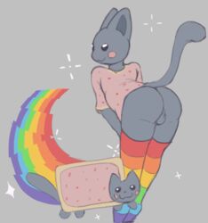 anthro anthrofied ass backsack balls big_butt bread clothed clothing crossdressing domestic_cat duo felid feline felis feral food footwear fur genitals grey_body grey_fur legwear male mammal meme multicolored_clothing multicolored_footwear multicolored_socks nyan_cat pattern_clothing pattern_footwear pattern_legwear pattern_socks pink_cheeks pink_t-shirt rainbow rainbow_clothing rainbow_footwear rainbow_socks rule_63 scribsen smile socks star striped_clothing striped_footwear striped_socks stripes thigh_highs toast