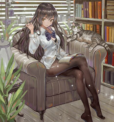 armchair bangs black_bra black_hair black_legwear black_underwear book bookmark bookshelf bow bra bra_peek brown_eyes brown_hair casual cat chair clothing collared_shirt crossed_legs danann dress_shirt feline female green_eyes hand_in_hair high_resolution house image indoors kong_guan_wang lamp lingerie long_hair long_sleeves looking_at_viewer no_pants no_shoes open_book original pantyhose photo photo_(object) photos plant playing_with_hair reading safe sfw shirt sitting smile solo sparkle thighband_pantyhose unbuttoned underwear white_shirt window_blinds wooden_floor