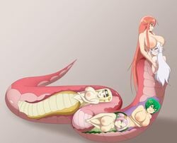 4girls absurdres blonde_hair breasts green_hair headband highres lamia large_breasts long_hair maru_(monster_musume) miia_(monster_musume) monster_girl monster_girl_doctor monster_musume_no_iru_nichijou monster_musume_no_oisha-san multiple_girls naga nipples pink_hair red_hair sanka_(monster_musume) saphentite_neikes shequa_(monster_musume) short_hair smile unbirthing vore white_hair whitesnake54 x-ray yuri