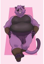 anthro balls belly bottomless clothed clothing domestic_cat ear_piercing eroborus eye_patch eyewear felid feline felis footwear fur furry furry_only genitals handwear hi_res leliel male male_only mammal overweight overweight_anthro overweight_male partially_clothed penis piercing purple_body purple_fur solo tail topwear