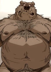 2021 anthro barely_visible_genitalia barely_visible_penis belly brown_body brown_fur fur genitals hi_res male mammal moobs motogen navel nipples overweight overweight_male penis s_h_bear simple_background solo ursid