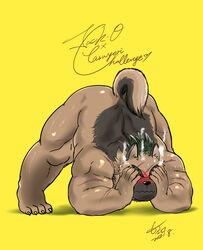 1boy anthro ass ass_up back_muscles biceps blush canid canine canis covering covering_face domestic_dog embarrassed german_shepherd herding_dog hikoero777 jack-o'_pose lifewonders male male_only mammal nude pastoral_dog pose scar solo tokyo_afterschool_summoners top_knot video_games yasuyori