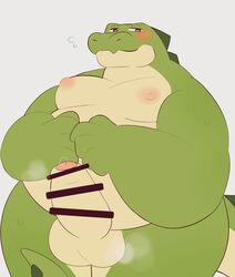 0119_muu 2021 anthro balls belly big_belly blush censored crocodile crocodilian crocodylid erection genitals green_body hi_res humanoid_genitalia humanoid_penis kemono male moobs musk nipples overweight overweight_male penis reptile scalie solo