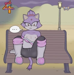 absurd_res alternate_costume anthro bench blaze_the_cat bodysuit boots breasts cameltoe candy_tooth clothing clothing_swap cosplay domestic_cat exposed_breasts felid feline felis female flat_chested footwear hi_res mammal nipples rouge_the_bat rouge_the_bat_(cosplay) sega sitting skinsuit solo sonic_(series) sonic_the_hedgehog_(series) tight_clothing wardrobe_malfunction