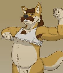 anthro armpit_hair belly body_hair canid canine canis clothed clothing dingo facial_hair flexing genitals grin hi_res lewd_latte male mammal moustache muscular original_character penis pose shirt smile smirk solo solo_male tank_top topwear