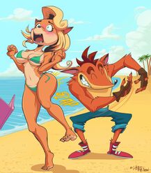 1boy 1girls ass_slap beach bikini blush breasts coco_bandicoot crash_(series) crash_bandicoot female fur furry lips lipstick lunatik_draw lunatikart male spanking string_bikini text wide_hips