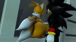 2boys 3d big_ass big_butt blueapple male/male male_penetrated shadow_the_hedgehog sonic_(series) tails