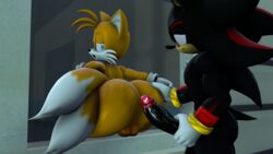 3d anthro big_ass big_butt blueapple duo erection furry looking_back male male_only shadow_the_hedgehog smiling sonic_(series) tails