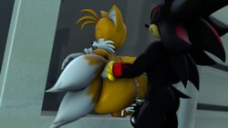 miles tails prower from sonic (series) by blueapple