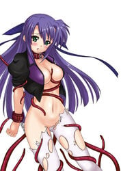 breasts cleavage collar ginga_nakajima green_eyes lyrical_nanoha mahou_shoujo_lyrical_nanoha mahou_shoujo_lyrical_nanoha_strikers nagii nipple_slip nipples open_clothes open_shirt purple_hair shirt tentacle torn_clothes