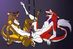 anthro arakho azaly ball_gag balls bondage bound bound_together chains cuffs duo erection fur gag girly hair long_hair long_tail male malesub markings multiple_subs penis red_fur sergal sex sheycra simple_background white_fur wrist_cuffs yaoi