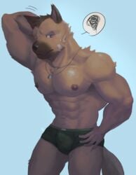 abs absurd_res anthro areola balls_outline bandage biped blue_background blush bodily_fluids brown_body brown_fur bulge canid canine canis clothed clothing detailed_bulge dog_tags domestic_dog fur genital_outline german_shepherd green_clothing green_underwear hand_behind_head hand_on_hip herding_dog hi_res jewelry male male_only mammal muscular muscular_anthro muscular_male necklace nipples omyurice one_eye_closed pastoral_dog pecs penis_outline pictographics simple_background solo sweat sweatdrop topless underwear