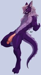 1boy anixis anthro balls canid canine claws conditional_dnp digital_media_(artwork) dragon fur genitals hi_res humanoid_genitalia humanoid_penis male male_only mammal nude penis purple_body shaded solo were werecanid werecanine werewolf