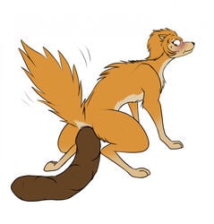 alpha_and_omega anus blush bodily_fluids canine crouching feces female feral fur hi_res kate_(alpha_and_omega) mammal orange_body orange_fur pushing pushing_out raised_tail scat squatting_position straining sweat sweatdrop tofu-doggo wolf