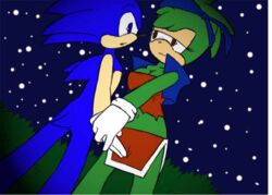 color colored sonic_(series) sonic_the_hedgehog_(series) tagme telsa