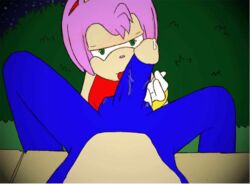 amy_rose color colored sonic_(series) sonic_the_hedgehog sonic_the_hedgehog_(series) tagme telsa