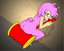 amy_rose color colored sonic_(series) sonic_the_hedgehog_(series) tagme telsa