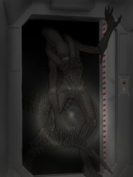 1cuntboy 3:4 absurd_res airlock alien alien_(franchise) andromorph black_body cuntboy detailed_background digital_media_(artwork) genitals hi_res inside intersex leaning_on_wall looming pussy shaded smile solo xenomorph xenopera xenophilia