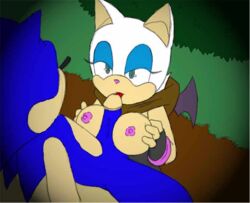 color colored rouge_the_bat sonic_(series) sonic_the_hedgehog sonic_the_hedgehog_(series) tagme telsa