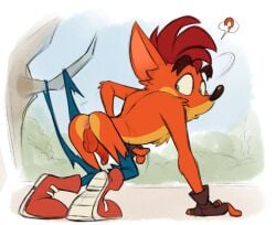 1boy ? activision anthro anus ass balls bandicoot blue_pants clothing crash_(series) crash_bandicoot full_body fur furry furry_male furry_only genitals gloves hair looking_back male male_only mammal mature mature_male mawile123 orange_fur pants penis ripped_clothing ripped_pants shoes solo solo_focus solo_male testicles