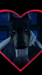 1boy 1dog 1female 1girls 1male 3d 3d_(artwork) 3d_animation 3d_model animated balls_slapping_face blowjob blowjob_face blowjob_only dobermann dolly_(furjoe) edit edited fellatio fellatio_from_feral female_penetrated furjoe indoors indoors_sex living_room male_penetrating male_penetrating_female night night_sky oral oral_sex original sex sex_on_bed sound sound_edit sucking sucking_penis tagme video yellow_eyes you
