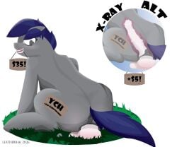 absurd_res alpha_channel anatomically_correct animal_dildo animal_sex_toy anus athletic big_dildo blush bodily_fluids butt darkened_genitalia dildo dildo_sitting english_text equid equine equine_dildo fan_character female female/female feral genital_fluids genitals happy hasbro hi_res horse leatherbak looking_back mammal masturbation medial_ring my_little_pony nude penetration pony presenting puffy_anus raised_tail ridiculous_fit sex_toy simple_background slim smile solo spread_legs spreading tail text vaginal vaginal_fluids vaginal_penetration veiny_dildo vulva x-ray_view