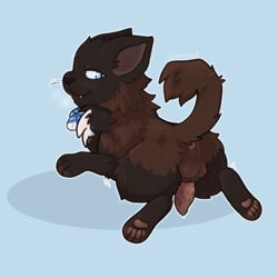 1:1 balls domestic_cat felid feline felis feral feralsoren genitals male mammal paws penile_spines penis presenting smug solo sploot