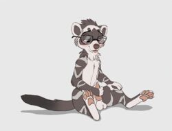 2d 5_toes animated anthro balls blush bouncing_balls claws cooper_mordaut domestic_ferret erection eyewear feet frame_by_frame genitals gif glasses half-closed_eyes hi_res hindpaw loop male mammal masturbation mustela mustelid musteline narrowed_eyes nude pawpads paws penile penile_masturbation penis pink_pawpads short_playtime simple_background sitting smile soles solo spread_legs spreading tapering_penis toe_claws toes tongue tongue_out true_musteline tuwka white_background