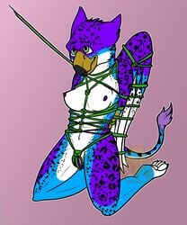 1girls 2d 2d_(artwork) 5:6 absurd_res anthro avian beak bird blue_body blue_fur body_harness bondage bound collar female female_only fur green_rope gryphon harness hi_res kinkykaida leash leash_pull markings mythological_avian mythology no_shading odessa_storm pawpads paws purple_body purple_fur rope rope_bondage rope_harness simple_background solo spots spotted_markings white_body white_fur wings