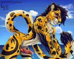 anthro ass_up athletic background_sky black_hair blue_hair bodily_fluids cheetah chest_tuft cloud cum cum_drip cum_leaking dripping elbow_tufts felid feline fur genital_fluids genitals hair hi_res humanoid_genitalia humanoid_penis hybrid_genitalia hybrid_penis khota kneeling knot knotted_humanoid_penis looking_at_viewer lunasimia male mammal markings muscular muscular_male on_hands_and_knees outside pantherine penis pose precum presenting purple_eyes sea shoulder_tuft sky smile smiling_at_viewer solo spots spotted_markings suggestive suggestive_look suggestive_pose tuft vein veiny_penis water yellow_body yellow_fur