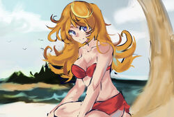 beach bikini cute mario_(series) mona_(warioware) nintendo tagme wario_(series) warioware wordknight