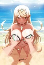 accidental_grope awesomeerix barefoot beach groping_breasts light-skinned_female light-skinned_male light_skin mythra pov rex_(xenoblade) xenoblade_(series) xenoblade_chronicles_2