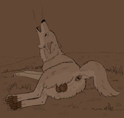 anatomically_correct anatomically_correct_anus anus ass balls big_balls canid canine canis casual_exposure closed_eyes dark_balls darkened_balls darkened_genitalia ears_back feral gay genitals grass harpsichord_(artist) hi_res howl line_art lying male mammal monochrome on_side outside pawpads paws pivoted_ears plant saggy_balls solo tail_aside wolf