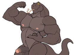 absurd_res anthro balls boner brown_body darknaigart erection flexing foreskin genitals hi_res komodo_dragon lizard male male_only monitor_lizard muscular muscular_anthro muscular_male nipples non-mammal_nipples nude pecs penis reptile scalie simple_background solo tagme tight_foreskin tongue tongue_out uncircumcised white_background