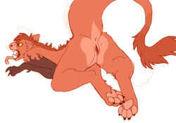 2018 4_toes anthro anus ares_(devilenby) ass big_tail cuntboy digital_media_(artwork) feet fur genitals hair hybrid intersex looking_at_viewer male mammal mane matuska open_mouth pawpads paws presenting pussy red_body red_fur red_hair short_hair simple_background solo sploot teeth toes tongue tongue_out white_background yellow_eyes