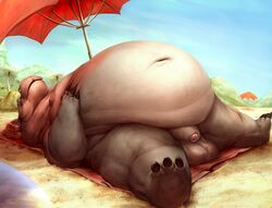 1boy 2021 alexalaz anthro balls beach belly big_belly common_hippopotamus detailed_background fat flaccid foreskin genitals hippopotamid humanoid_genitalia humanoid_penis lying male male_only mammal morbidly_obese morbidly_obese_male navel obese obese_male outside overweight overweight_male penis seaside solo uncut