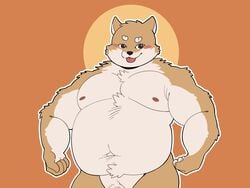 2021 4:3 anthro barely_visible_genitalia barely_visible_penis belly blush brown_body brown_fur canid canine canis domestic_dog fur genitals haoming hi_res humanoid_hands kemono male mammal moobs navel nipples overweight overweight_male penis simple_background solo tongue tongue_out