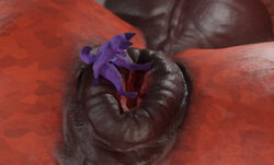 3d_(artwork) anal anal_vore anthro anus balls black_anus blender_(software) canid canine digital_media_(artwork) duo equid equine erection fox foxygrandpaa furry genitals horse imminent_vore macro male male/male mammal micro micro_on_macro penis perineum puffy_anus size_difference stare_into_the_abyss vore willing_vore