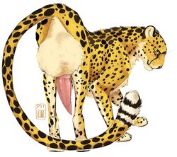 2018 animal_genitalia animal_penis balls big_balls big_penis black_nose black_spots cheetah erection felid feline feline_penis feral fur fuzzy_balls genitals huge_balls hyper hyper_balls hyper_genitalia i-psilone jasiri looking_at_viewer male mammal penis rear_view simple_background solo spots standing tan_balls tan_body tan_fur whiskers white_background yellow_body yellow_eyes yellow_fur