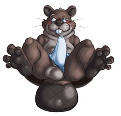 anthro balls beaver blush bodily_fluids briefs clothing emenius eyewear genital_fluids genitals glasses hi_res male male_focus male_only mammal precum rodent solo solo_male underwear whiskers